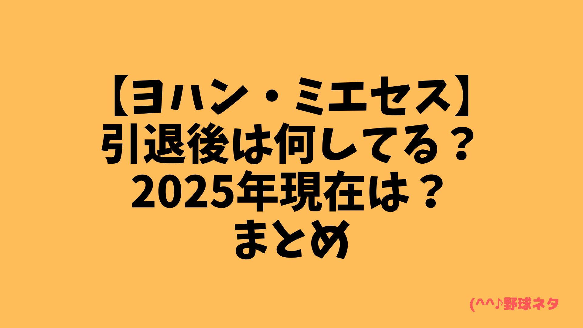 ヨハンミエセス・　引退後は何してる？　2025年現在は？