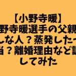 【小野寺暖】小野寺暖選手の父親はどんな人？蒸発したって本当？離婚理由など調査してみた